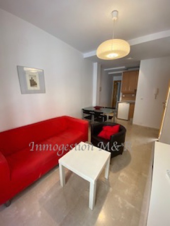 Centro, 18005, 2 Habitaciones Habitaciones, ,1 BañoBathrooms,Pisos,En Alquiler,1102