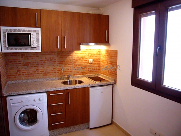 Realejo, 18009, 1 Habitación Habitaciones,Estudios / Lofts,En Alquiler,1109