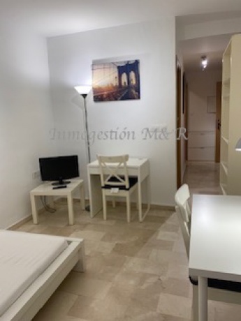 Centro, 18001, 1 Habitación Habitaciones,Estudios / Lofts,En Alquiler,1110