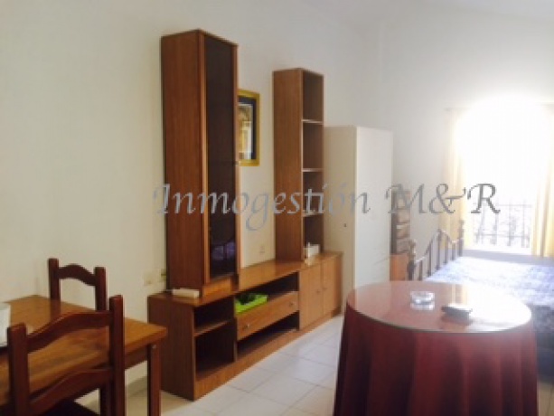 centro, 18005, ,Estudios / Lofts,En Alquiler,1073