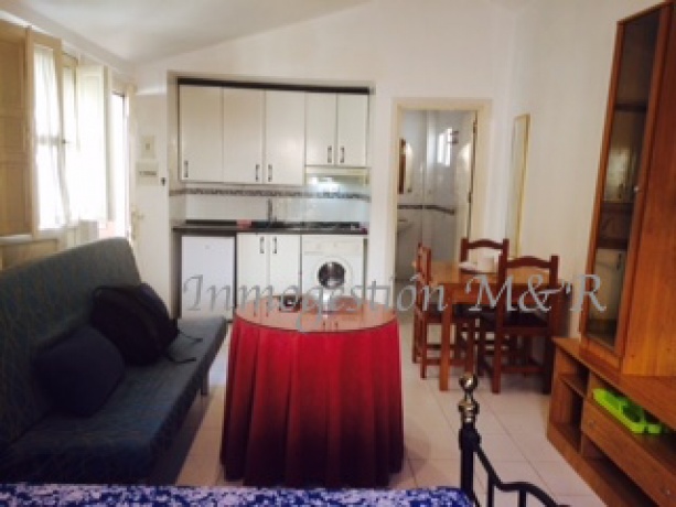 centro, 18005, ,Estudios / Lofts,En Alquiler,1073