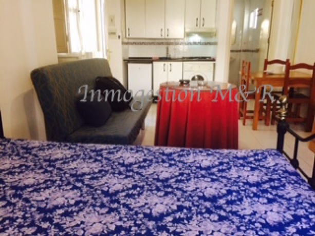 centro, 18005, ,Estudios / Lofts,En Alquiler,1073