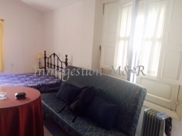 centro, 18005, ,Estudios / Lofts,En Alquiler,1073