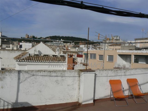 Centro, 18002, 1 Dormitorio Habitaciones, ,1 BañoBathrooms,Pisos,En Alquiler,1079